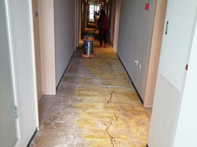 瑞廷西郊酒店-地毯清洗